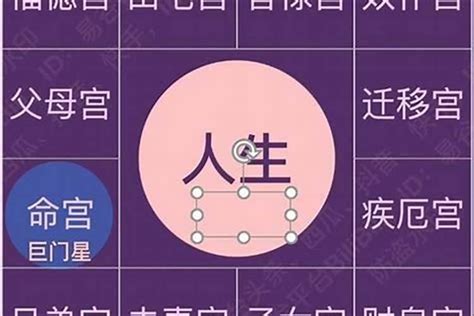 八字 命主 意思|紫微斗數講堂——什么是“命主”